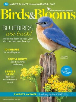 Birds &amp; Blooms Magazine