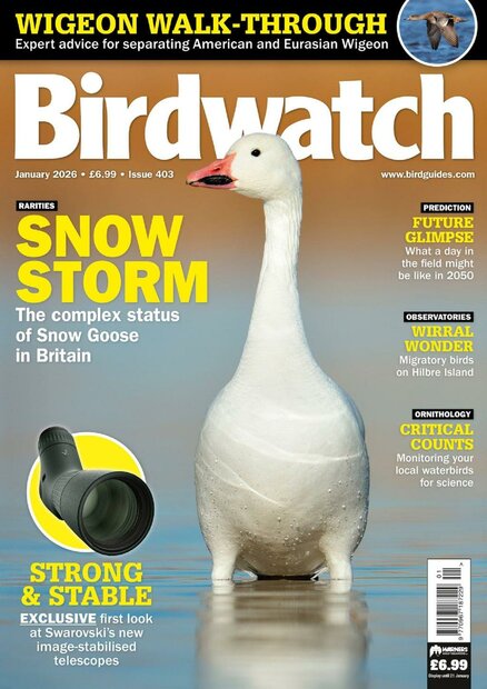 Birdwatch Magazine