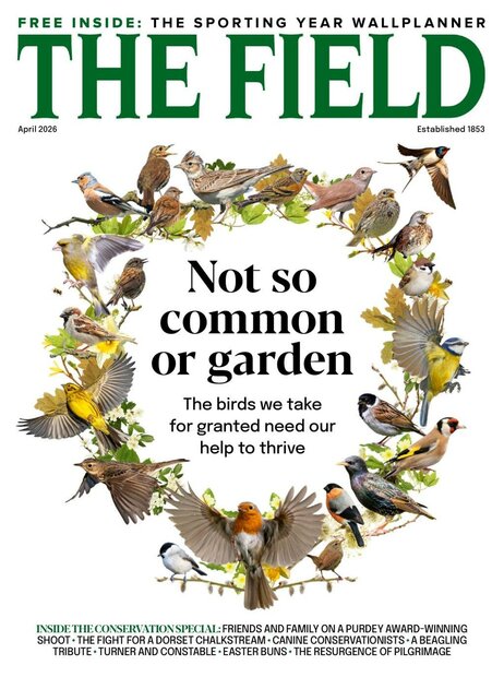The Field Magazine