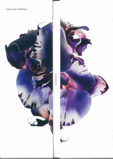 Cactus Magazine (English Edition)