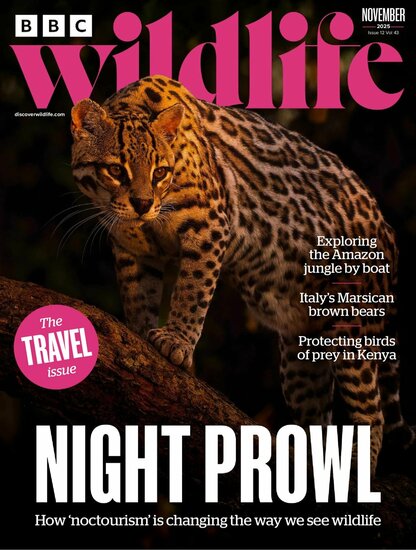 BBC Wildlife Magazine