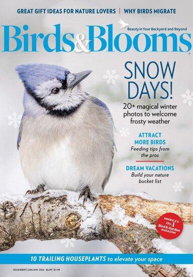 Birds &amp; Blooms Magazine