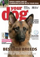 Your Dog Magazine