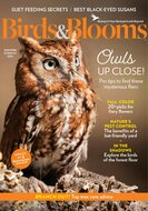 Birds &amp; Blooms Magazine