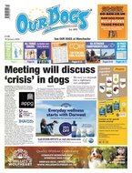 Our Dogs Magazine