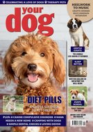 Your Dog Magazine