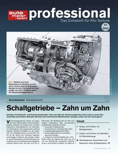 Auto Motor und Sport Professional (Alemão)