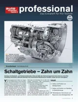 Auto Motor und Sport Professional (Alemão) 1