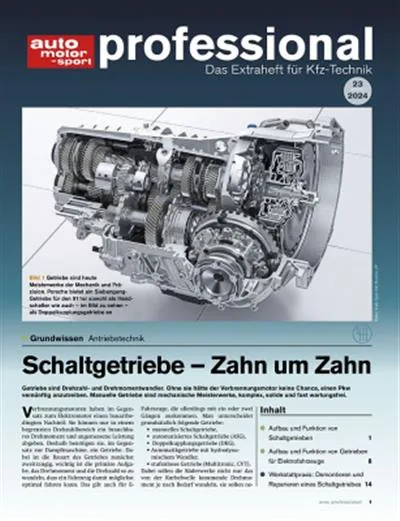 Auto Motor und Sport Professional (Alemão)