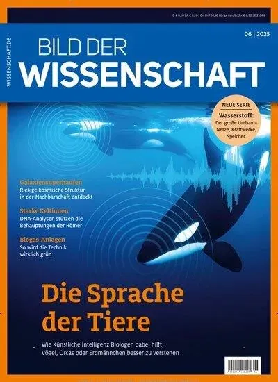 Bild der Wissenschaft (Alemão)