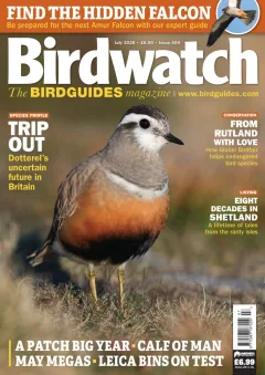 Birdwatch Magazine