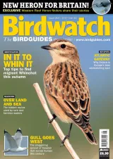 Birdwatch Magazine 1