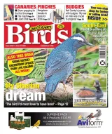 Cage & Aviary Birds Magazine 1