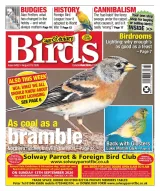 Cage & Aviary Birds Magazine 1