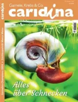 Caridina (Alemão) 1