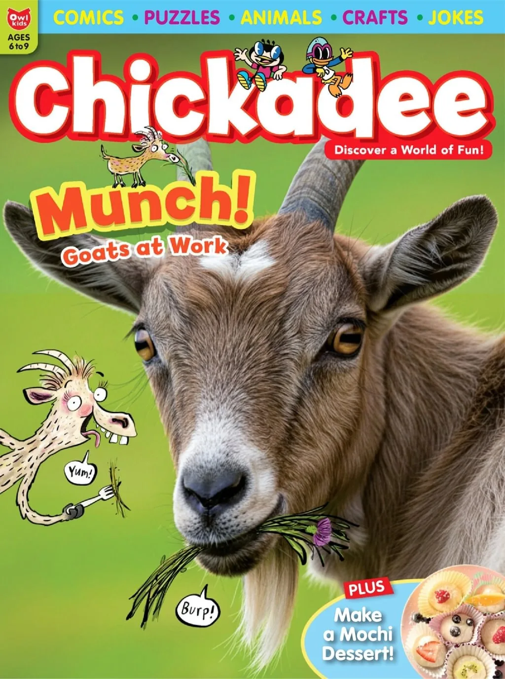 Chickadee Magazine