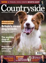 Countryside Magazine 1