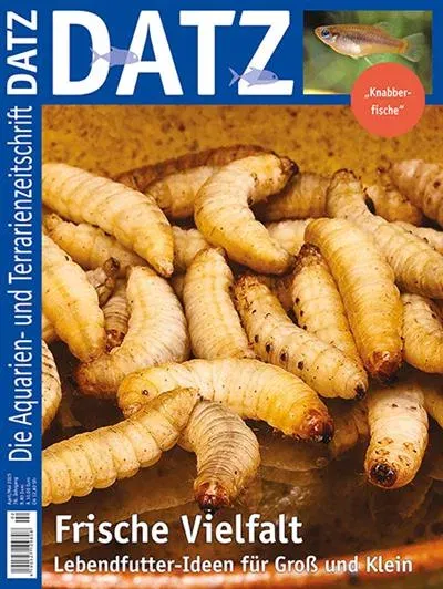 Datz (Alemão)
