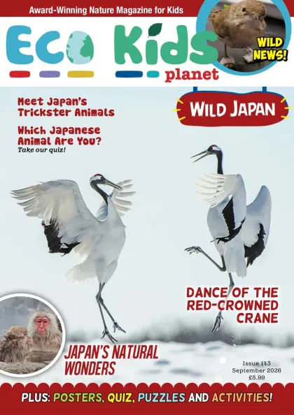 Eco Kids Planet Magazine