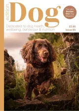 Edition Dog Magazine 1