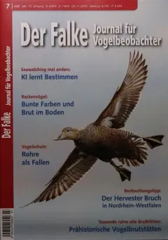 Falke (Alemão)