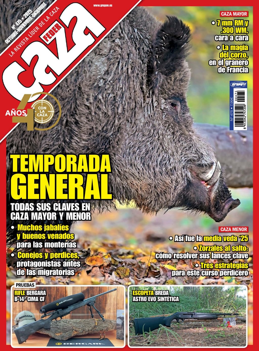 Federcaza (Espanhol)