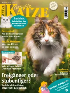 Geliebte Katze (Alemão)