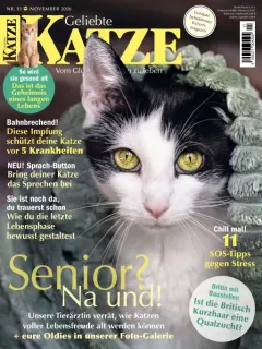 Geliebte Katze (Alemão)