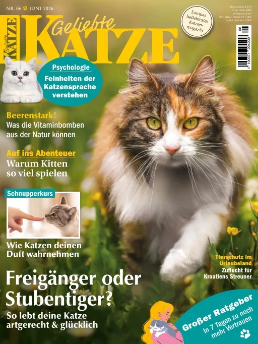 Geliebte Katze (Alemão)