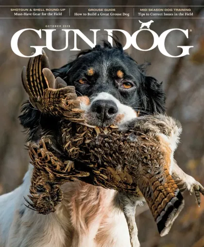 Gun Dog Magazine