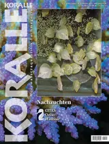 Koralle (Alemão) 1
