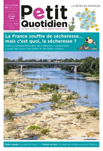 Le Petit Quotidien (Francês)