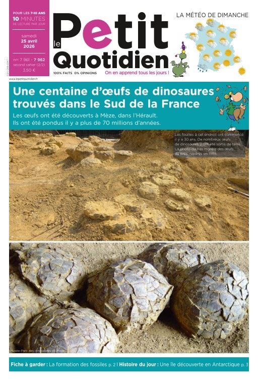 Le Petit Quotidien (Francês)