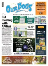 Our Dogs Magazine 1