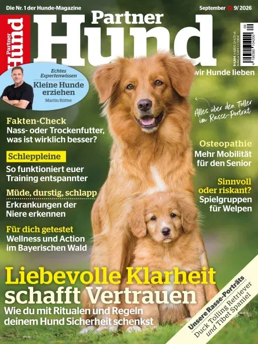 Partner Hund (Alemão)