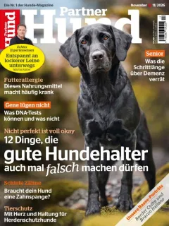 Partner Hund (Alemão)