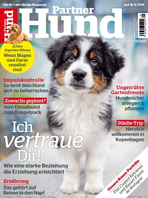 Partner Hund (Alemão)