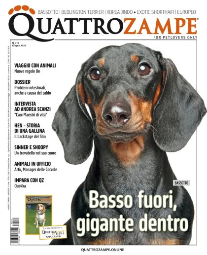 Quarter Horse Journal (Alemão)