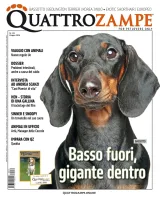 Quarter Horse Journal (Alemão) 1