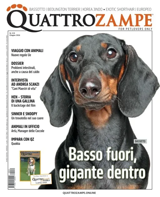 Quattro Zampe (Italiano)