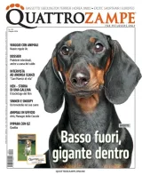 Quattro Zampe (Italiano) 1