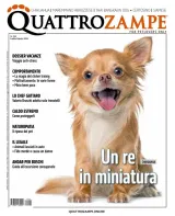 Quattro Zampe (Italiano) 1