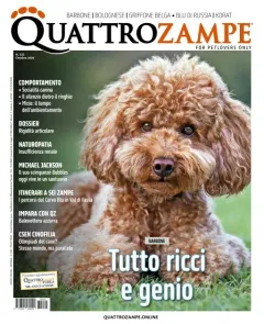 Quattro Zampe (Italiano)