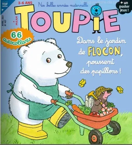 Toupie Maxi Jeux (Francês)