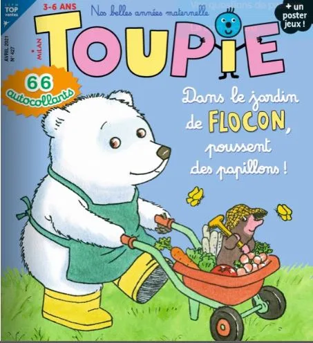 Toupie Maxi Jeux (Francês)