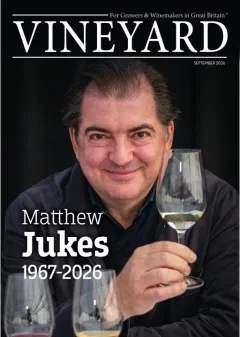 Vineyard Magazine