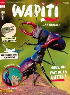 Wapiti (Francês)