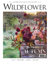 Wildflower Magazine 1