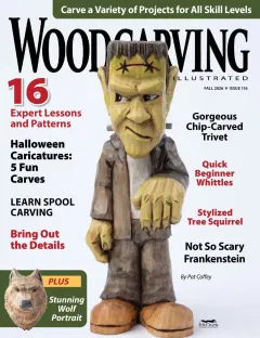 Woodcarving Illustrated Magazine