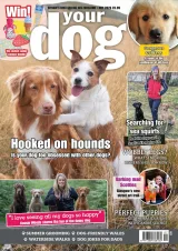 Your Dog Magazine 1